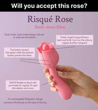 Load image into Gallery viewer, Risqué Rose
